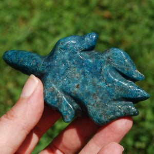 Large Apatite Carved Crystal Turtle