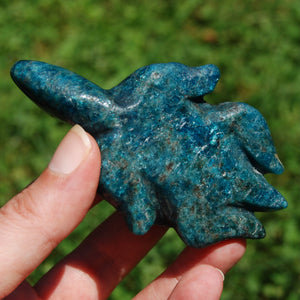 Large Apatite Carved Crystal Turtle