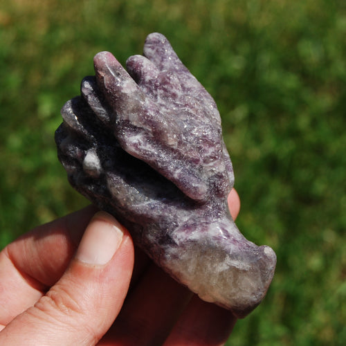 Unicorn Stone Lepidolite Crystal Dragon Skull