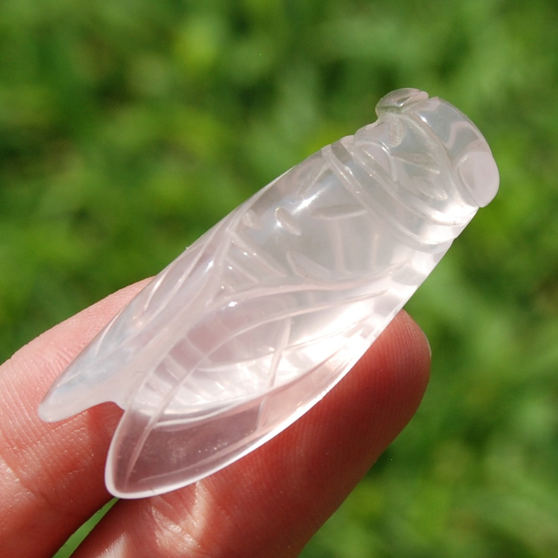 Rose Quartz Crystal Cicada