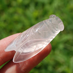 Rose Quartz Crystal Cicada