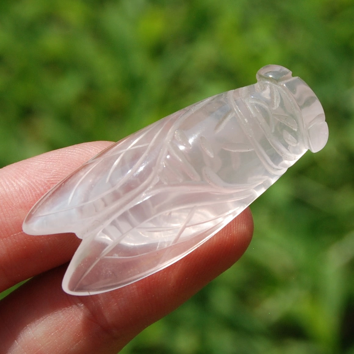Rose Quartz Crystal Cicada