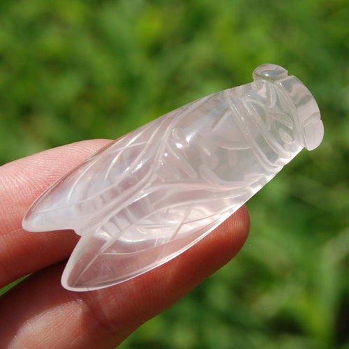 Rose Quartz Crystal Cicada