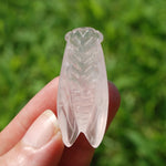 Rose Quartz Crystal Cicada