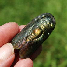 Load image into Gallery viewer, Purple Labradorite Carved Crystal Cicada
