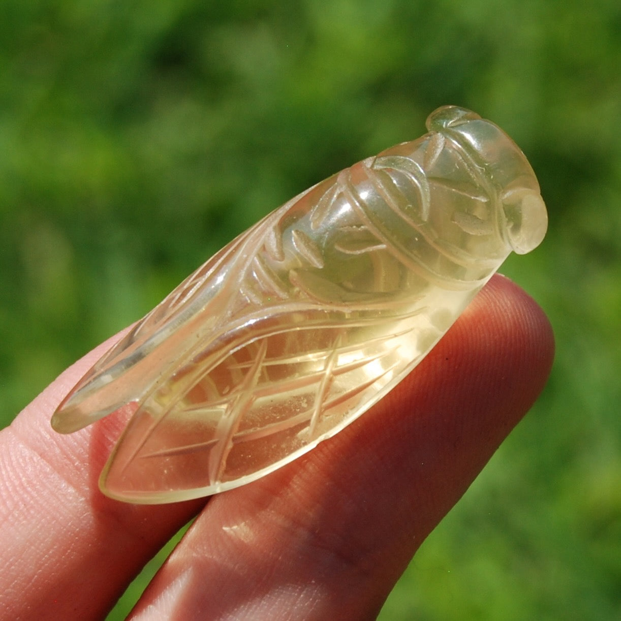 Citrine Crystal Cicada
