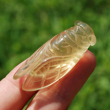 Load image into Gallery viewer, Citrine Crystal Cicada
