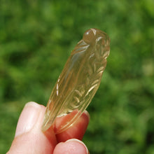 Load image into Gallery viewer, Citrine Crystal Cicada
