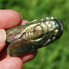 Load image into Gallery viewer, Purple Labradorite Carved Crystal Cicada
