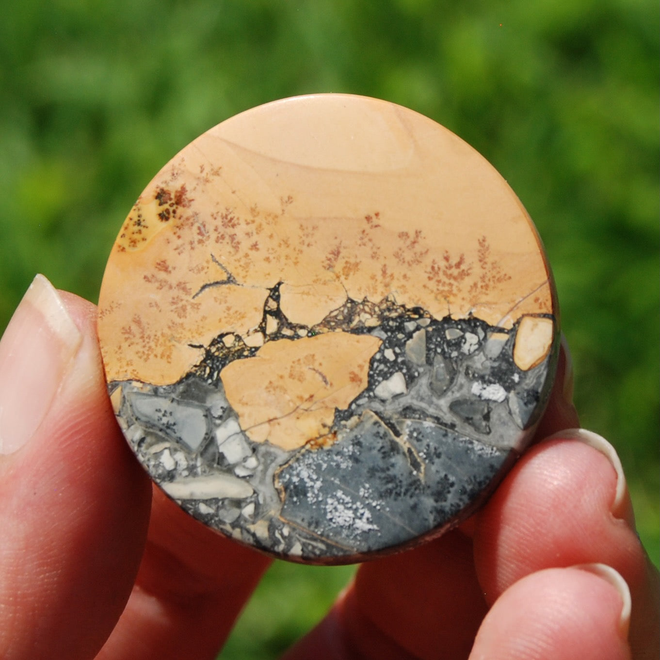 Maligano Jasper Round Cabochon