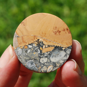 Maligano Jasper Round Cabochon