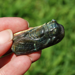 Purple Labradorite Carved Crystal Cicada