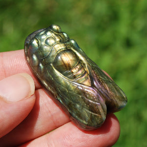 Purple Labradorite Carved Crystal Cicada