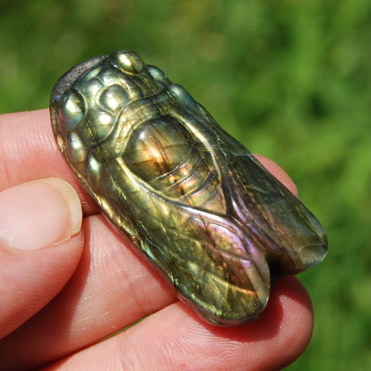 Purple Labradorite Carved Crystal Cicada