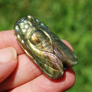 Purple Labradorite Carved Crystal Cicada