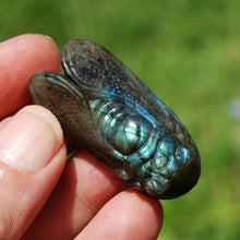 Load image into Gallery viewer, Labradorite Crystal Cicada
