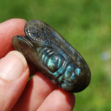 Load image into Gallery viewer, Labradorite Crystal Cicada
