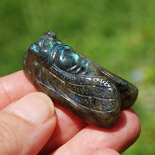 Load image into Gallery viewer, Labradorite Crystal Cicada
