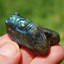 Load image into Gallery viewer, Labradorite Crystal Cicada
