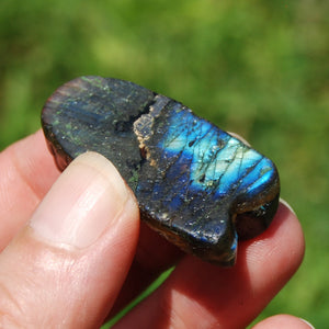 Labradorite Crystal Cicada