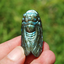 Load image into Gallery viewer, Labradorite Crystal Cicada
