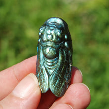 Load image into Gallery viewer, Labradorite Crystal Cicada
