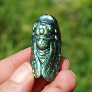 Labradorite Crystal Cicada