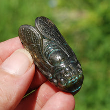 Load image into Gallery viewer, Labradorite Crystal Cicada
