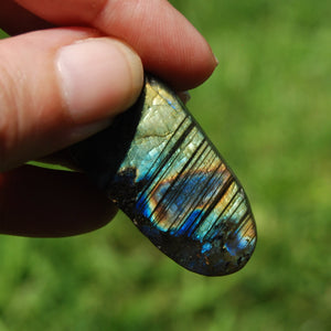 Labradorite Crystal Cicada