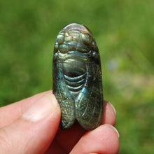 Load image into Gallery viewer, Labradorite Crystal Cicada
