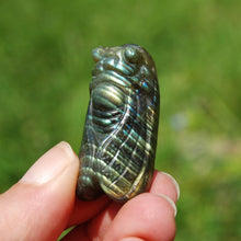 Load image into Gallery viewer, Labradorite Crystal Cicada
