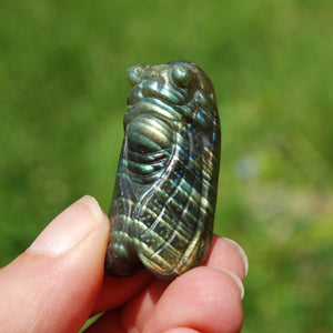 Labradorite Crystal Cicada