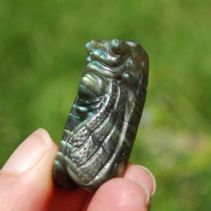 Labradorite Crystal Cicada