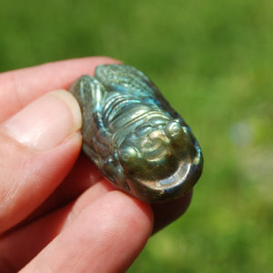 Labradorite Crystal Cicada