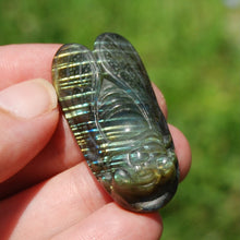 Load image into Gallery viewer, Labradorite Crystal Cicada
