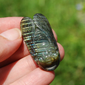 Labradorite Crystal Cicada