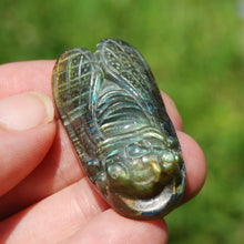 Load image into Gallery viewer, Labradorite Crystal Cicada
