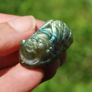 Labradorite Crystal Cicada