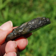 Load image into Gallery viewer, Labradorite Carved Crystal Goldfish
