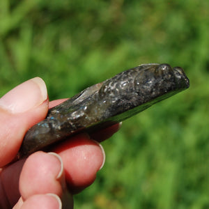 Labradorite Carved Crystal Goldfish