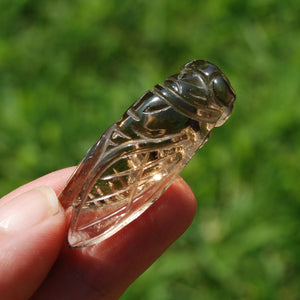 Smoky Citrine Crystal Cicada