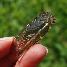 Load image into Gallery viewer, Smoky Citrine Crystal Cicada
