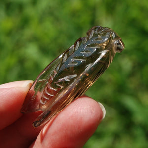 Smoky Citrine Crystal Cicada