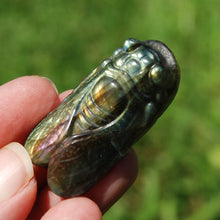 Load image into Gallery viewer, Purple Labradorite Carved Crystal Cicada
