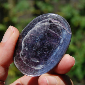 Gem Lepidolite Crystal Palm Stone