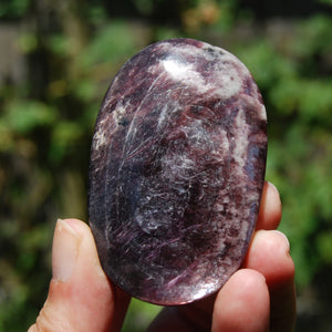 Gem Lepidolite Crystal Palm Stone