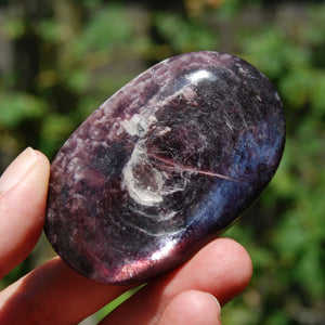 Gem Lepidolite Crystal Palm Stone