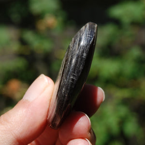 Gem Lepidolite Crystal Palm Stone