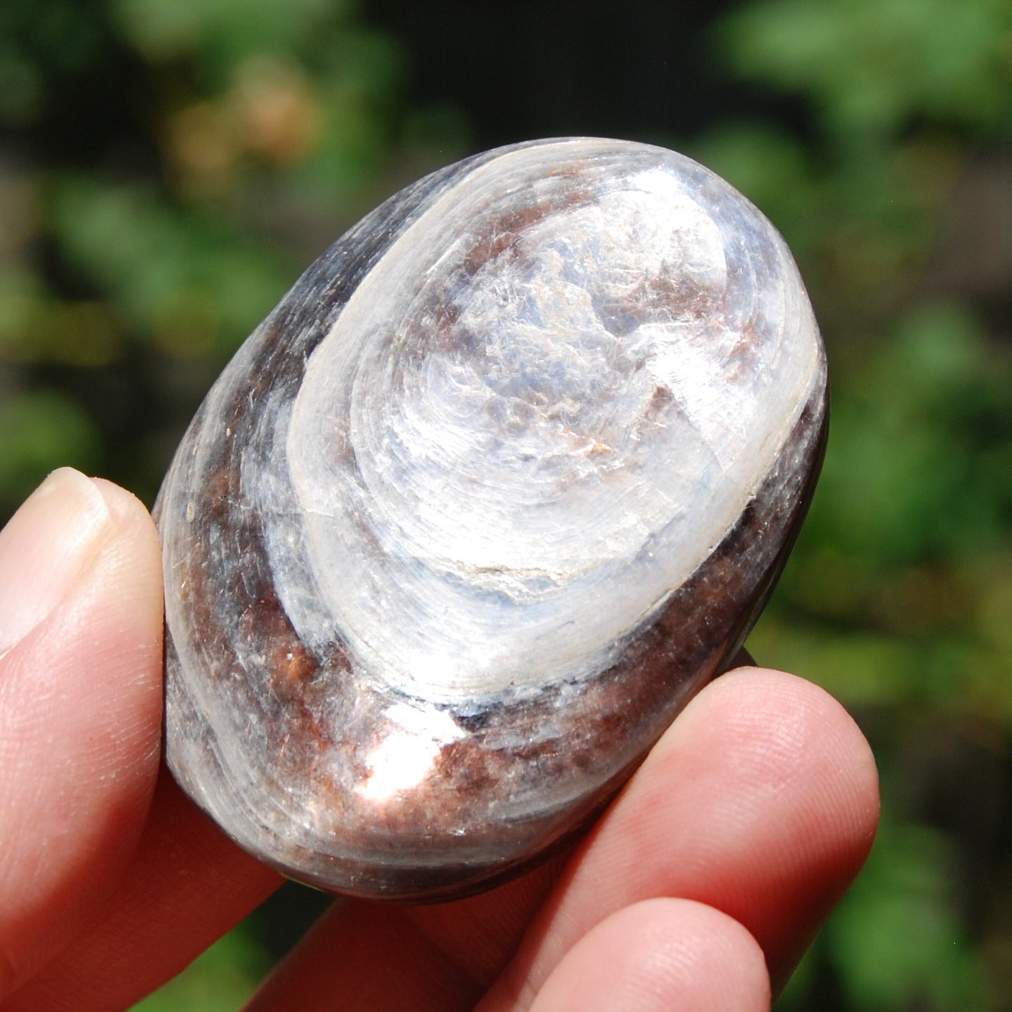 Gem Lepidolite Crystal Palm Stone