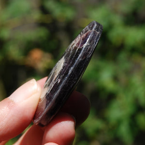 Gem Lepidolite Crystal Palm Stone